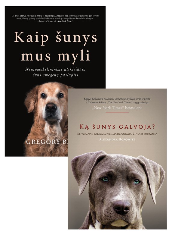 KĄ ŠUNYS GALVOJA? + KAIP ŠUNYS MUS MYLI