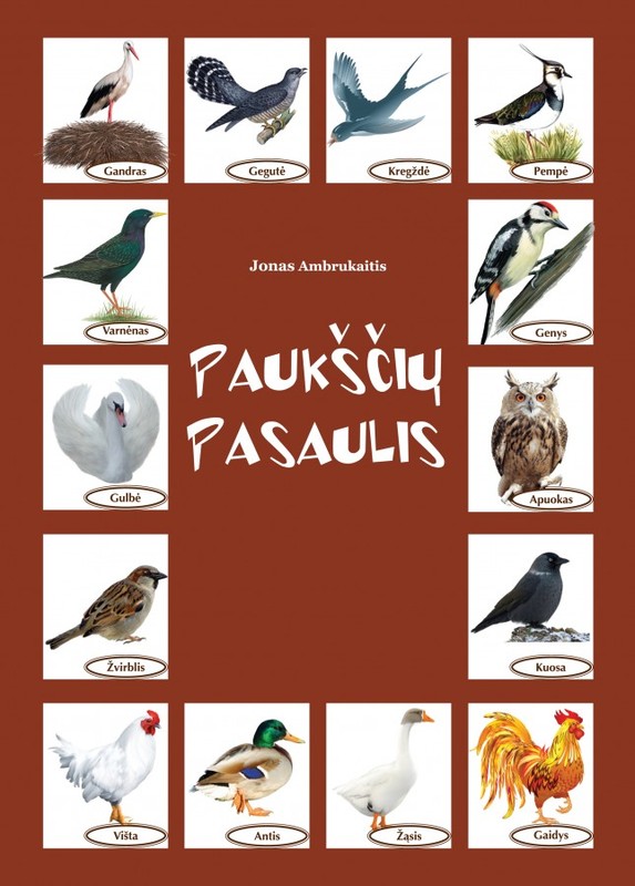 Paukščių pasaulis