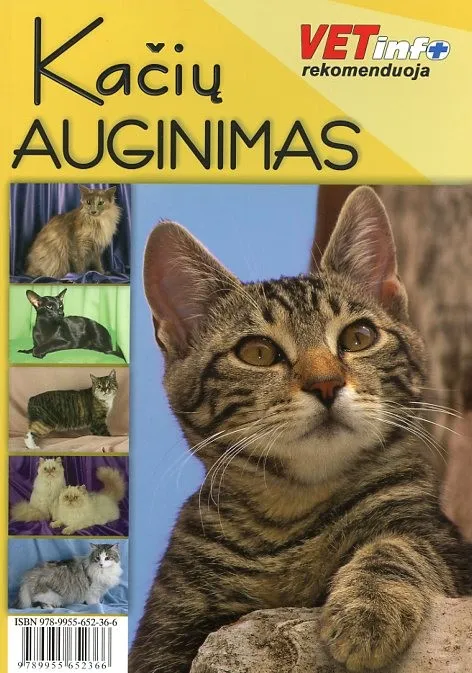 Kačių auginimas