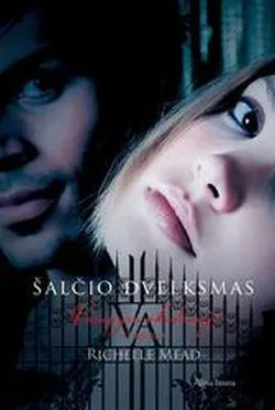 Šalčio dvelksmas. Ciklo "Vampyrų akademija" 2-oji knyga