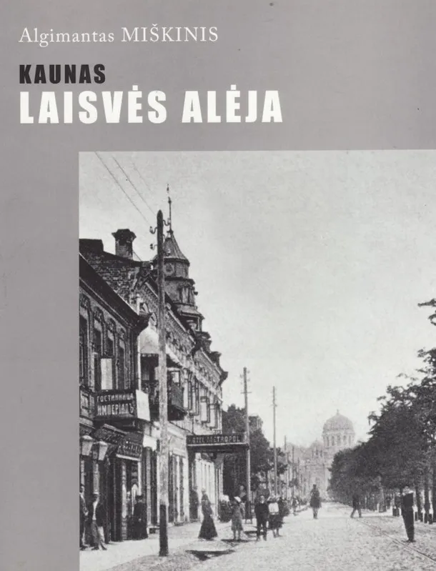Kaunas. Laisvės alėja