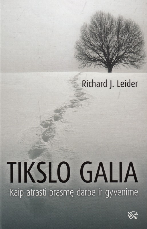 Tikslo galia