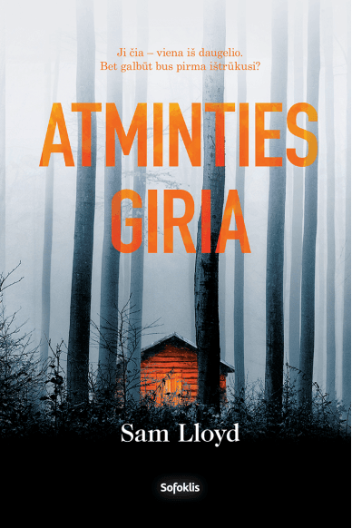 Atminties giria