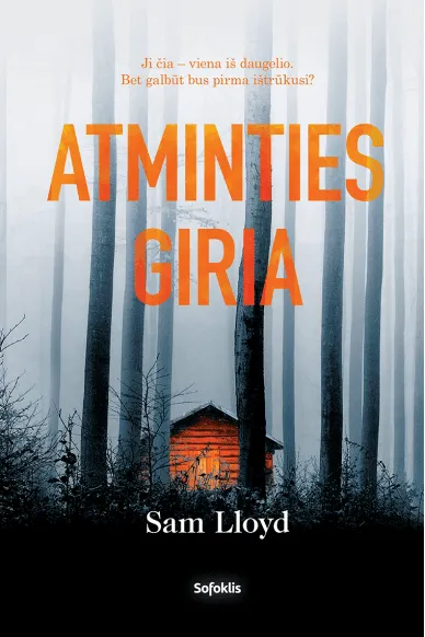 Atminties giria