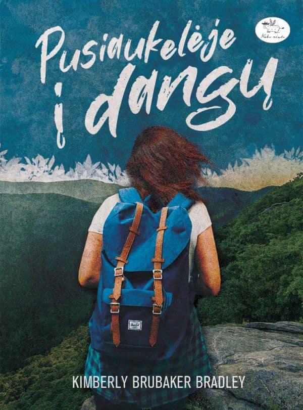 Pusiaukelėje į dangų