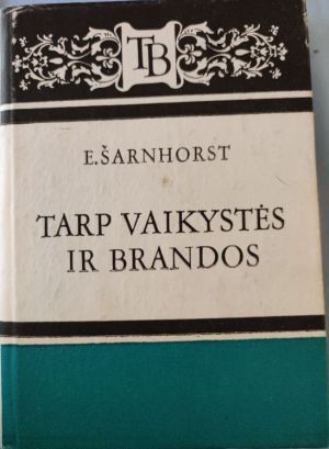 Tarp vaikystės ir brandos