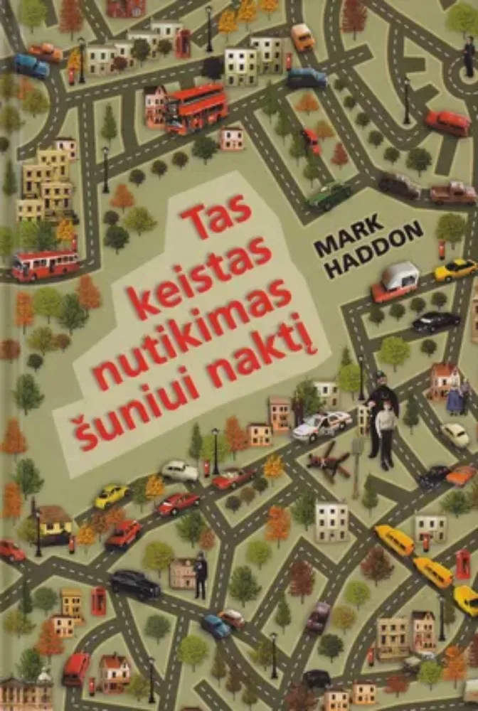 Tas keistas nutikimas šuniui naktį