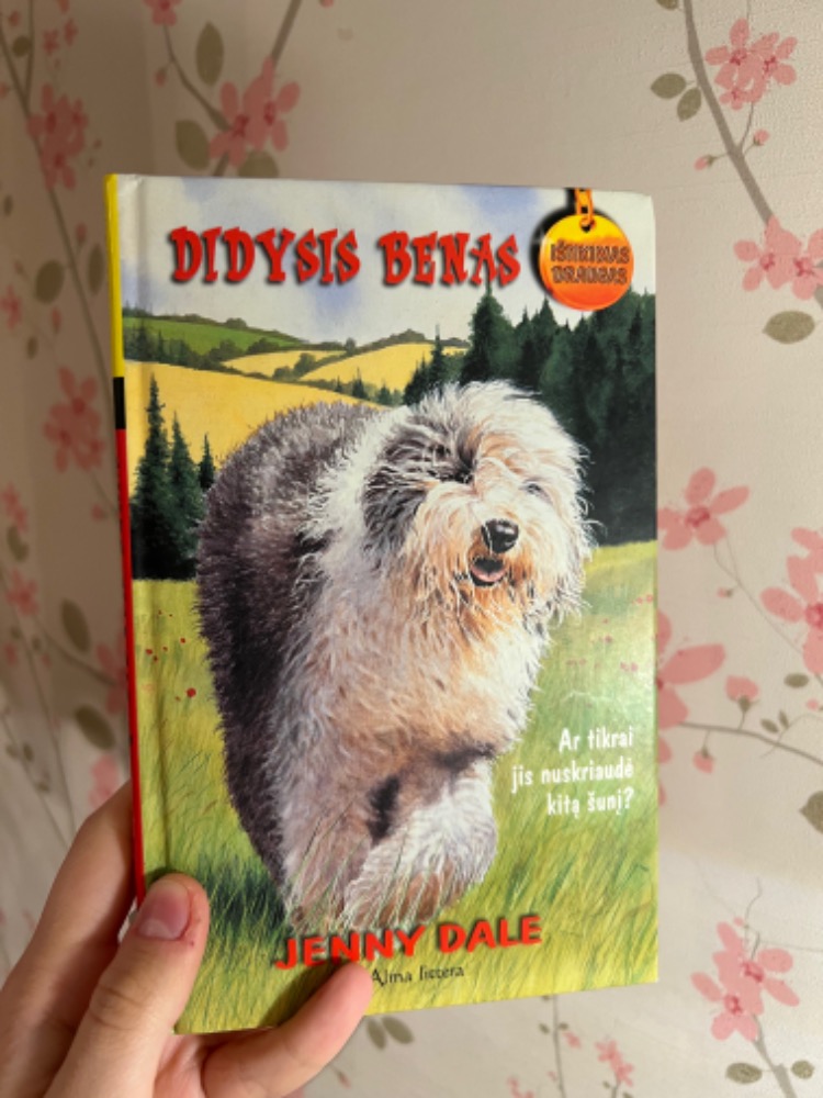 Didysis Benas