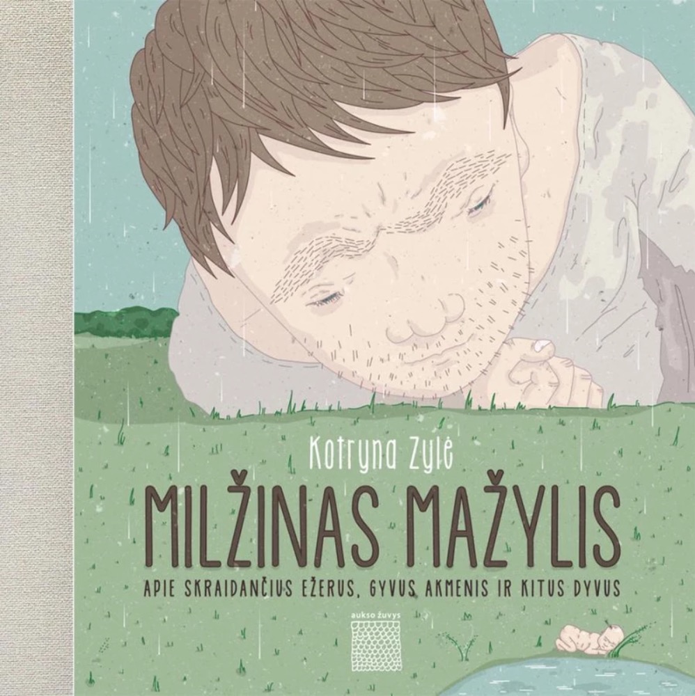Milžinas mažylis