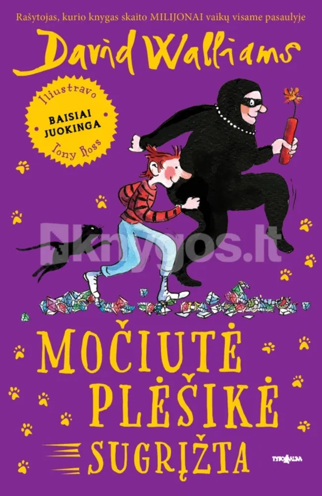 Močiutė plėšikė sugrįžta