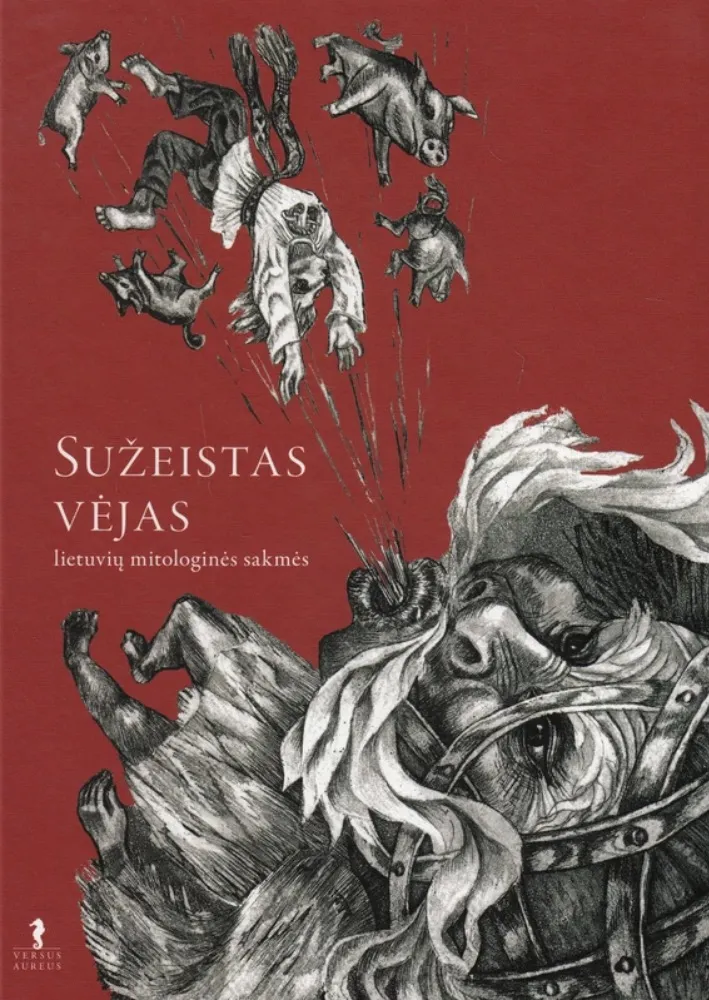 Sužeistas vėjas