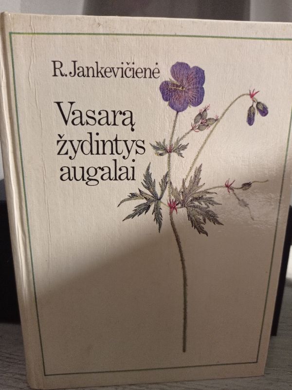 Vasarą žydintys augalai