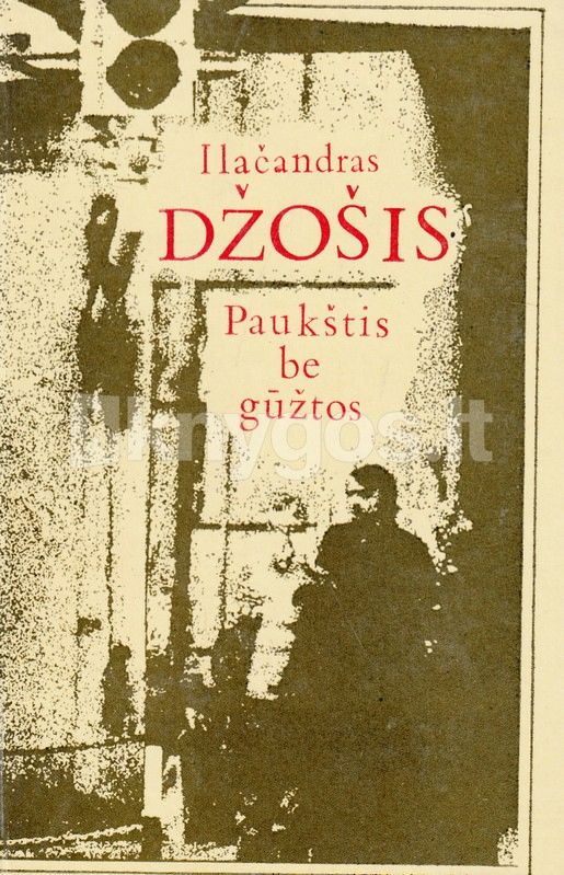 Paukštis be gūžtos