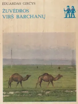 Žuvėdros virš barchanų