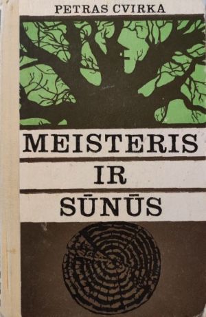 Meisteris ir sūnūs