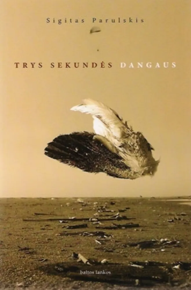 Trys sekundės dangaus
