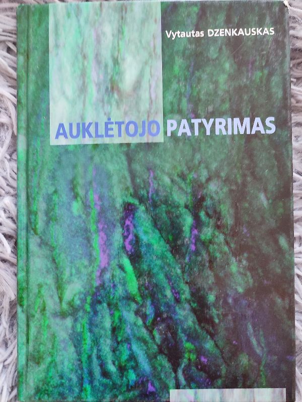 Auklėtojo patyrimas, ugdant nepilnamečių atsparumą klystkeliams
