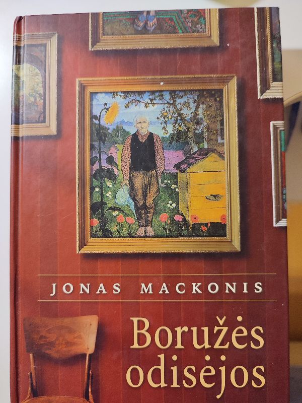 Boružės odisėjos