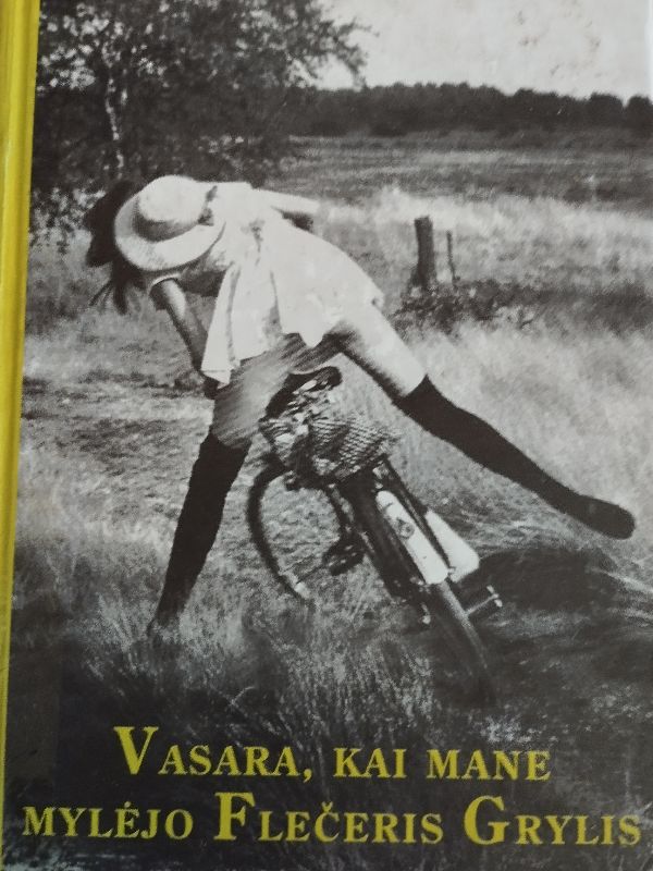 Vasarą,kai mane mylėjo Flečerys Grylis