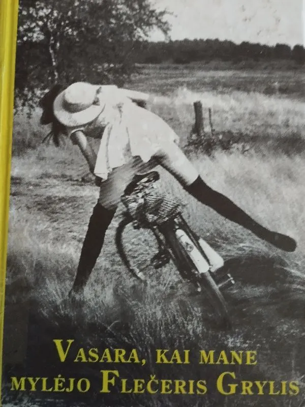 Vasarą,kai mane mylėjo Flečerys Grylis