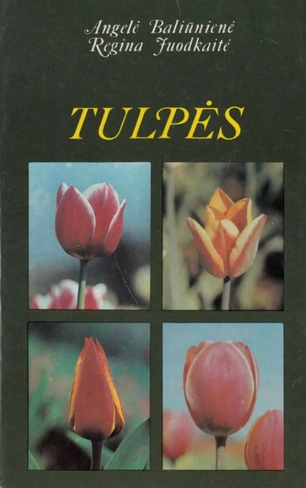 Tulpės