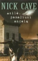 Asilė, pamačiusi angelą