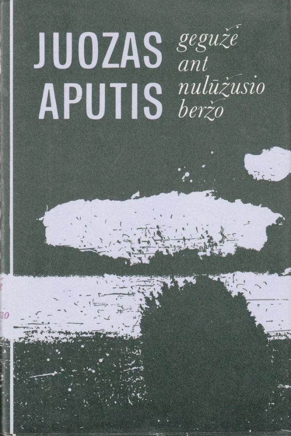 Gegužė ant nulūžusio beržo