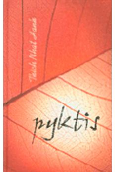 Pyktis