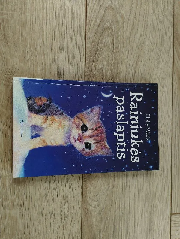 Rainiukės paslaptis