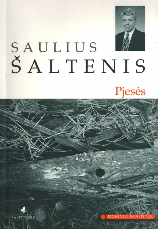 Pjesės (S. Šaltenis)
