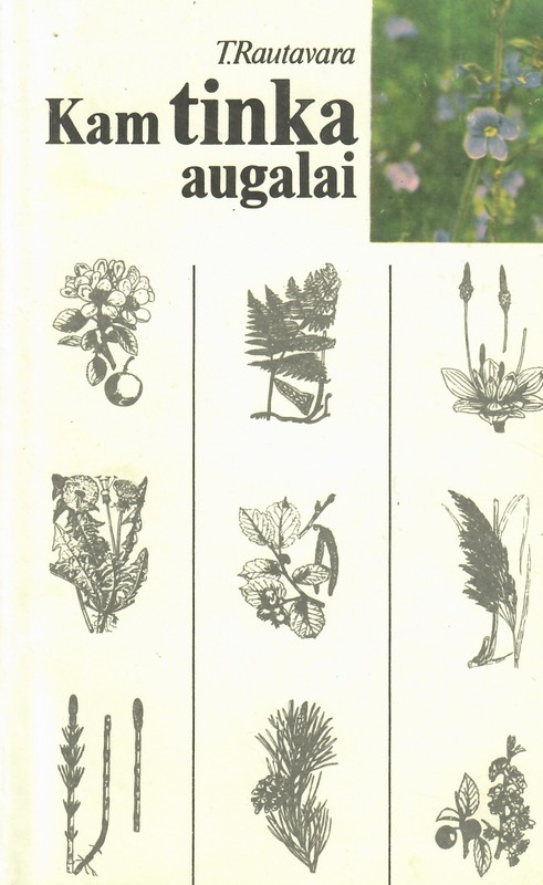 Kam tinka augalai