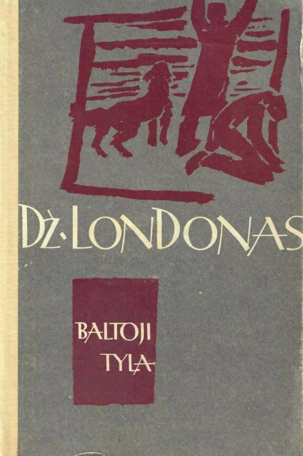 Baltoji tyla