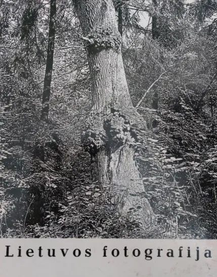 Lietuvos fotografija (1974)