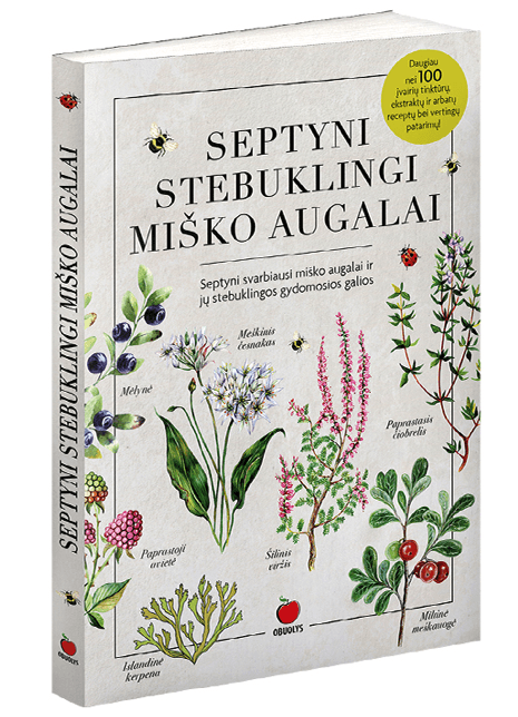 SEPTYNI STEBUKLINGI MIŠKO AUGALAI
