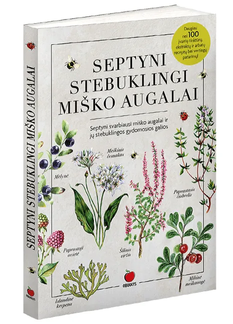SEPTYNI STEBUKLINGI MIŠKO AUGALAI