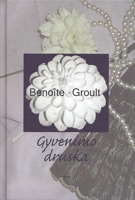Gyvenimo druska
