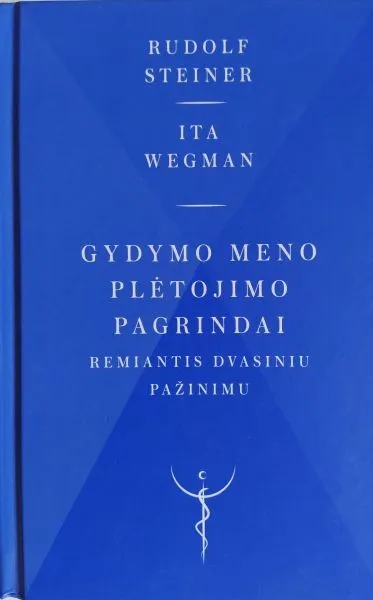 Gydymo meno plėtojimo pagrindai