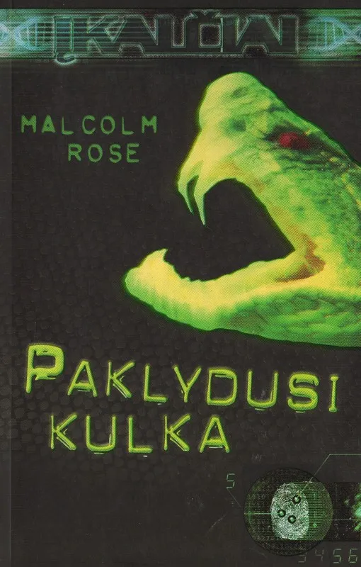 Paklydusi kulka