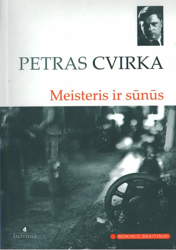 Meisteris ir sūnūs
