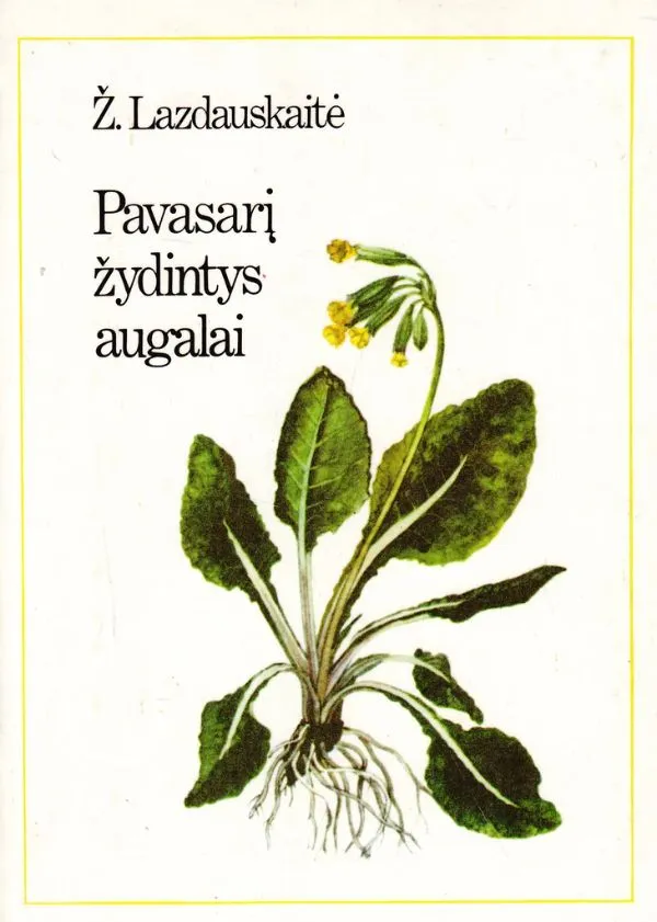 Pavasarį žydintys augalai