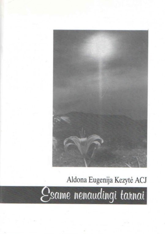 Esame nenaudingi tarnai
