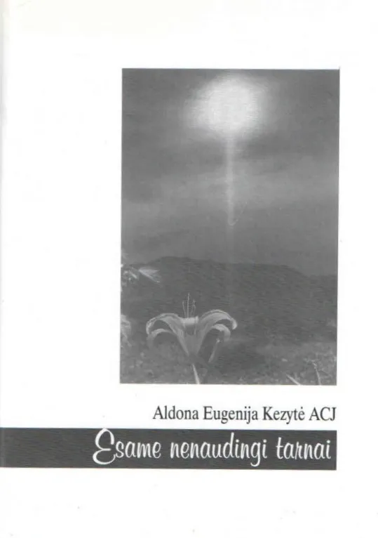 Esame nenaudingi tarnai