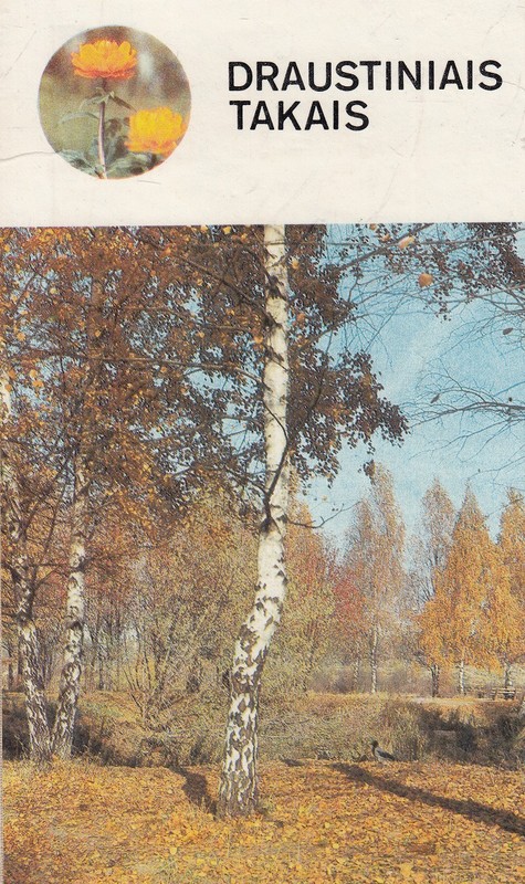Draustiniais takais