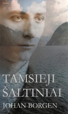 Tamsieji šaltiniai