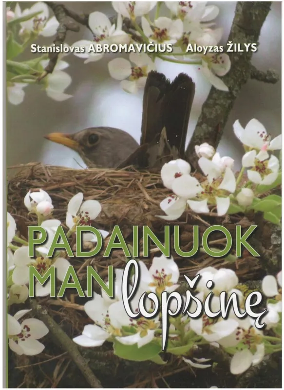Padainuok man lopšinę
