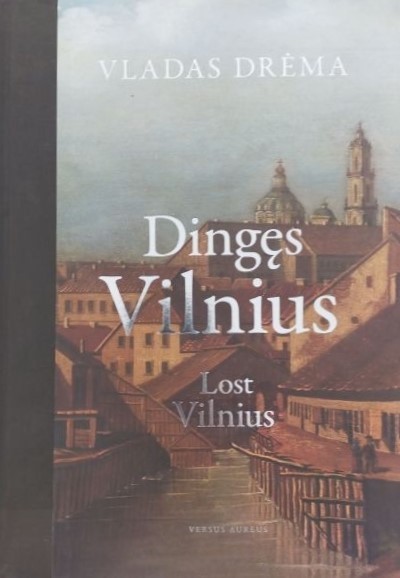 Dingęs Vilnius (2013)