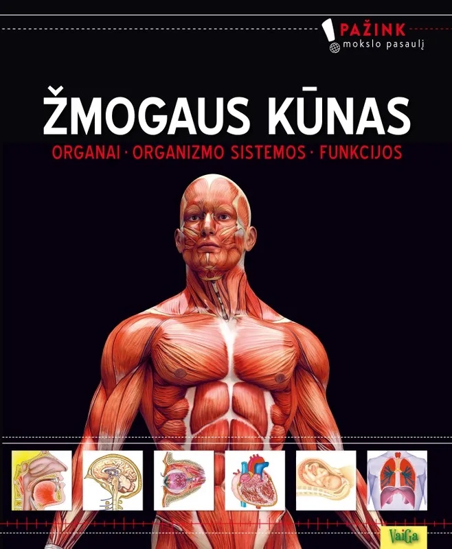 Žmogaus kūnas