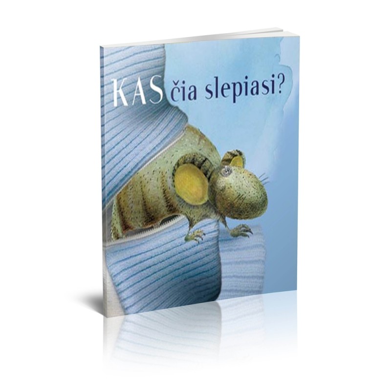 Kas čia slepiasi?