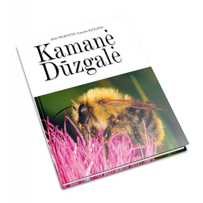 Kamanė Dūzgalė