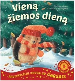 Vieną žiemos dieną (su garsais)